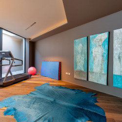 Wellness area at Villa Belvedere with treadmill