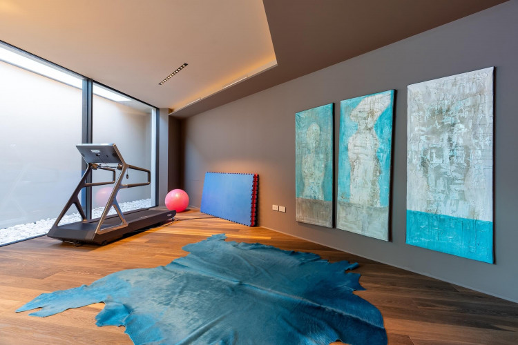 Wellness area at Villa Belvedere with treadmill